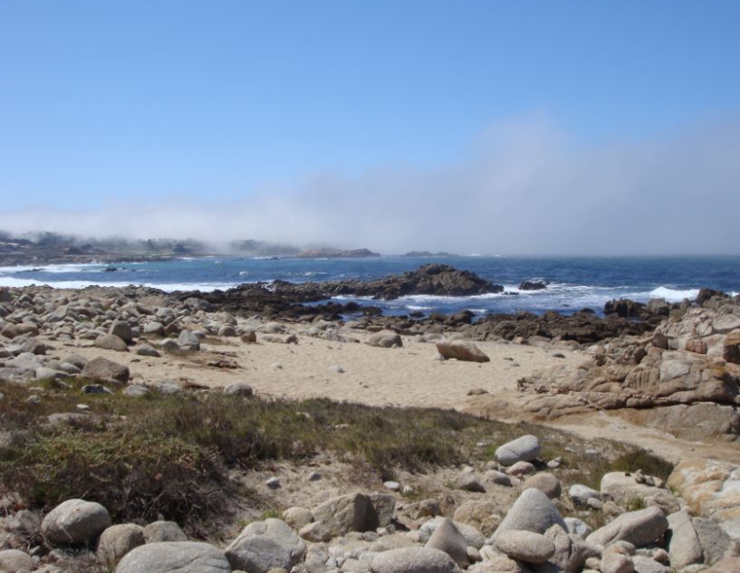 Carmel Beach