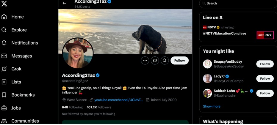 Twitter according2_taz