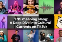 YNS meaning slang A Deep Dive into Cultural Currents on TikTok