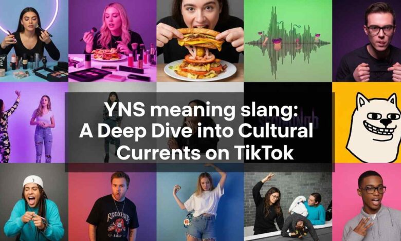 YNS meaning slang A Deep Dive into Cultural Currents on TikTok